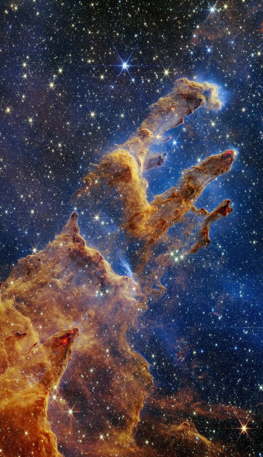 Universum
